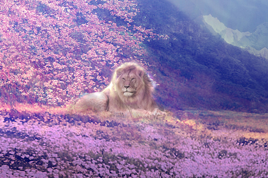 Narnia Fans: This the signed limited edition Aslan postcard you will receive along with your order. Request it in the comment box when you check out.