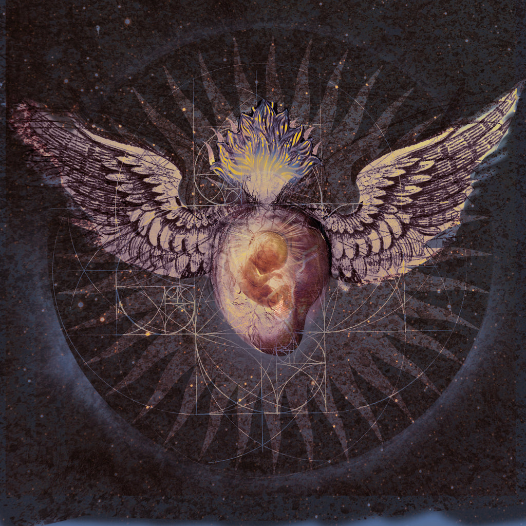 Memory of a Cosmic Heart Limited Edition Vinyl LP with Signed Enhanced Print- Alchemical Heart