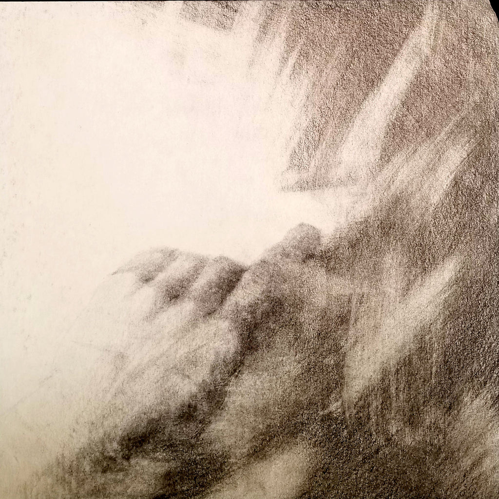 Hand Studies