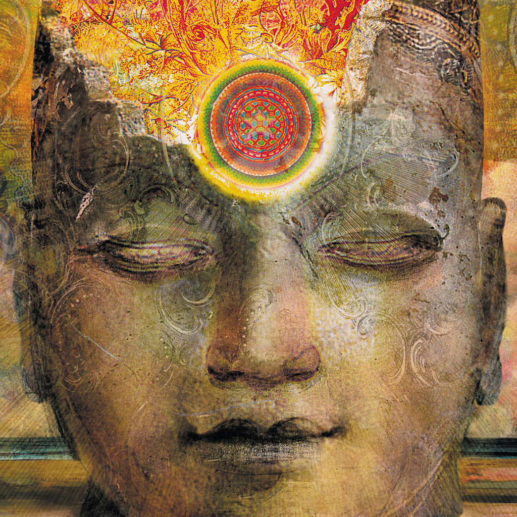 Expand Your Vision, Museum Quality Print, Essence: Autumn/Tawny Spring
